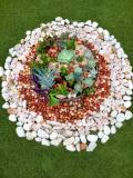 IMG-20220408-WA0009